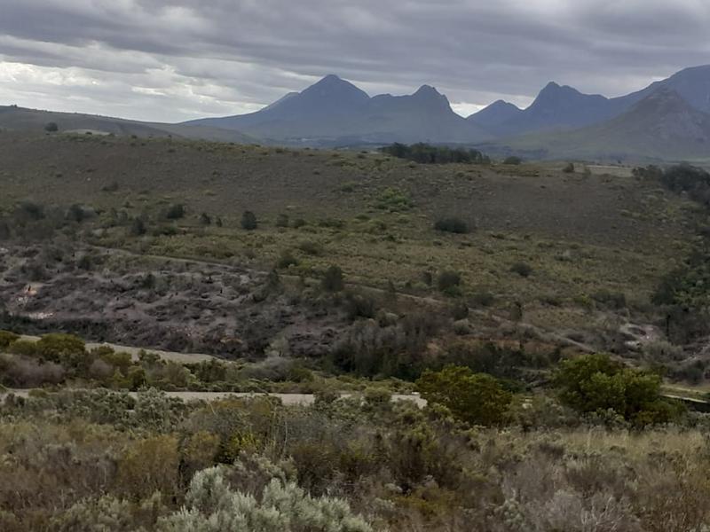 0 Bedroom Property for Sale in Albertinia Western Cape